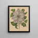 Flore hollandaise et Pomone PL54 - Abraham Jacobus Wendel — framed artwork on a wall