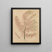 Flore hollandaise et Pomone PL56 - Abraham Jacobus Wendel — framed artwork on a wall