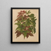 Flore hollandaise et Pomone PL58 - Abraham Jacobus Wendel — framed artwork on a wall