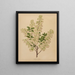 Flore hollandaise et Pomone PL61 - Abraham Jacobus Wendel — framed artwork on a wall
