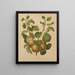 Flore hollandaise et Pomone PL63 - Abraham Jacobus Wendel — framed artwork on a wall