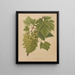 Flore hollandaise et Pomone PL65 - Abraham Jacobus Wendel — framed artwork on a wall