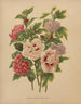 Flore hollandaise et Pomone PL66 - Abraham Jacobus Wendel — artwork view