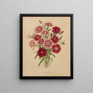 Abraham Jacobus Wendel - Nederlandsche flora en pomona Pl68.webp