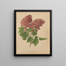 Flore hollandaise et Pomone PL69 - Abraham Jacobus Wendel — framed artwork on a wall