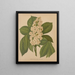 Flore hollandaise et Pomone PL70 - Abraham Jacobus Wendel — framed artwork on a wall