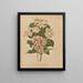 Flore hollandaise et Pomone PL74 - Abraham Jacobus Wendel — framed artwork on a wall