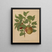 Flore hollandaise et Pomone PL75 - Abraham Jacobus Wendel — framed artwork on a wall