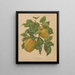 Flore hollandaise et Pomone PL79 - Abraham Jacobus Wendel — framed artwork on a wall