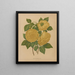 Flore hollandaise et Pomone PL80 - Abraham Jacobus Wendel — framed artwork on a wall