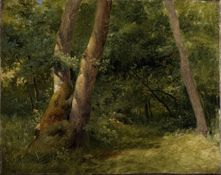 Achille Etna Michallon - Forest interior.webp