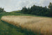 Het haverveld - Adolf Kaufmann — weergave van het kunstwerk