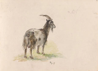 Adolph Tidemand - Geit.webp
