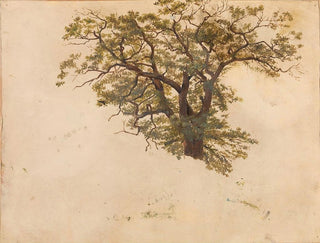 Adolph Tidemand - Study of an Oak.webp