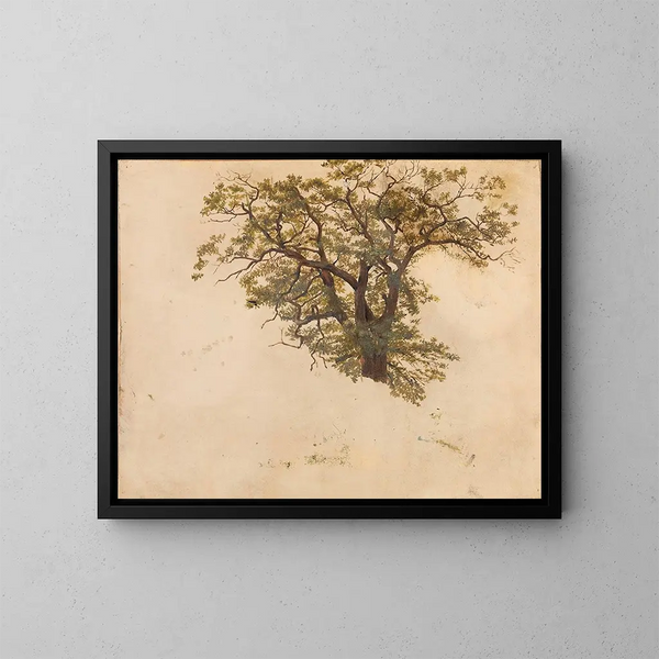Studie van een eik - Adolph Tidemand — ingelijst kunstwerk aan de muur