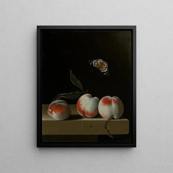 Adriaen Coorte - Drei Pfirsiche auf einem Steinsims mit einem Distelfalter.webp
