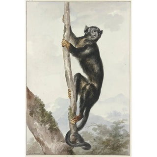 Aert Schouman - Bos duyvel.webp