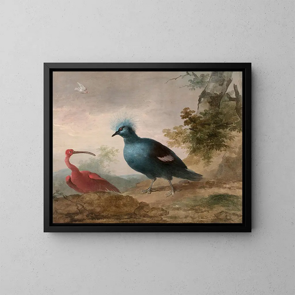 Pintade de Numidie, cacatoès noir, ibis rouge et goura couronné - Aert Schouman — ingelijst kunstwerk aan de muur