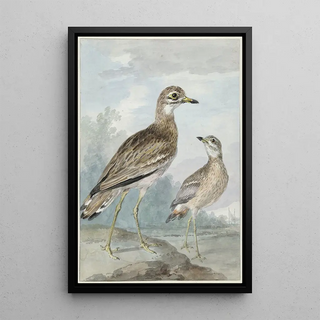 Aert Schouman - Twee grielen.webp