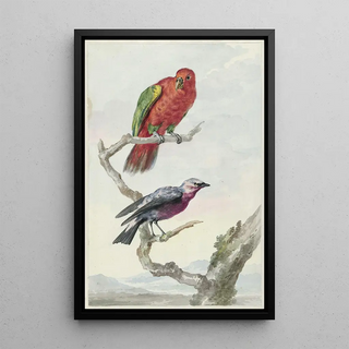 Aert Schouman - Twee vogels waaronder een roodgroene papegaai.webp