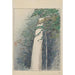 De waterval in het Nationaal Park Minoo - Akamatsu Rinsaku — weergave van het kunstwerk