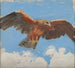 Faucon - Akseli Gallen-Kallela — weergave van het kunstwerk