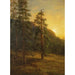 Californische Sequoia's - Albert Bierstadt — weergave van het kunstwerk