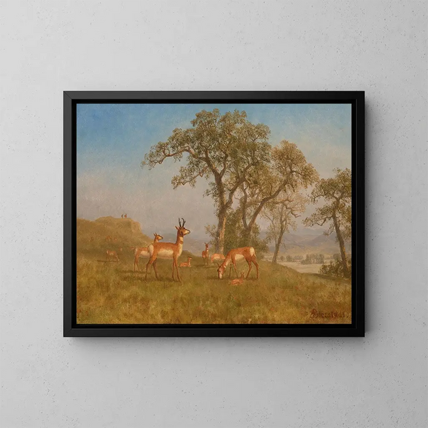 Antilope graast - Albert Bierstadt — ingelijst kunstwerk aan de muur