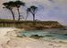 Anse marine - Albert Bierstadt — weergave van het kunstwerk