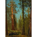 Reproductie van het schilderij De Grizzly Giant Séquoia Mariposa Grove Californië - Albert Bierstadt