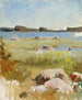 the Unfinished Archipelago Landscape - Albert Edelfelt — artwork view