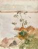 Zeezicht bij maanlicht - Albert Edelfelt — weergave van het kunstwerk