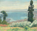Baie d'Alger vue d'El-Biar - Albert Marquet — weergave van het kunstwerk
