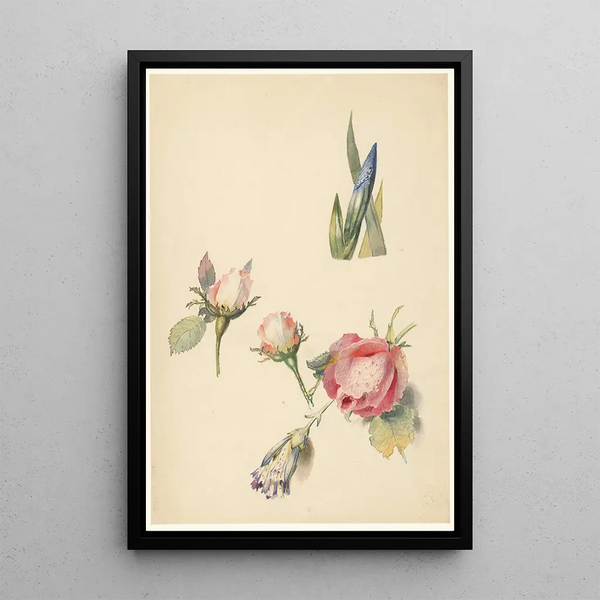 Albertus Steenbergen - Studieblad met drie rozen en een iris.webp