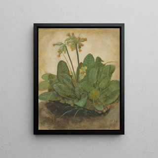 Albrecht Drer - Tuft of Cowslips.webp
