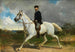Portret te paard - Albrecht Grueber — weergave van het kunstwerk