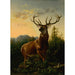 Reproduction of the painting Deer in a Forest Landscape - Alexander Brodszky