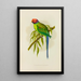 Perruche à tête fleurie - Alexander Francis Lydon — framed artwork on a wall