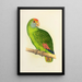 Amazon by Dufresne - Alexander Francis Lydon — framed artwork on a wall