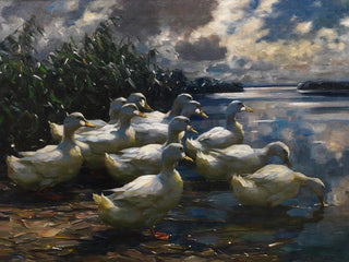 Alexander Koester - 11 Enten in der Morgensonne.webp