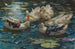 Vijf gekleurde eenden in het blauwe water van de waterlelies - Alexander Koester — weergave van het kunstwerk
