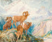Mouflon des Big Horn - Alexander Phimister Proctor — weergave van het kunstwerk