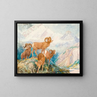Alexander Phimister Proctor - Big Horn Mountain Sheep.webp