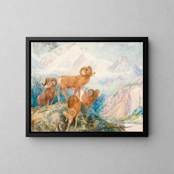 Mouflon des Big Horn - Alexander Phimister Proctor — ingelijst kunstwerk aan de muur