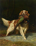 Springer Spaniel met fazant - Alexander Pope — weergave van het kunstwerk