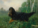 Setter Gordon in een landschap - Alexander Pope Jr — weergave van het kunstwerk
