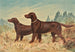 Twee flatcoated retrievers staand, naar links gericht - Alexander Pope Jr — weergave van het kunstwerk
