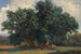 Landschap met eikenbomen - Alexandre Calame — weergave van het kunstwerk