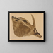 Antilope hippotrague - Alexandre Iacovleff — framed artwork on a wall