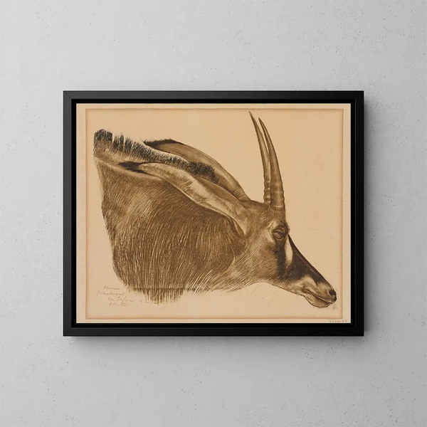 Antilope hippotrague - Alexandre Iacovleff — ingelijst kunstwerk aan de muur